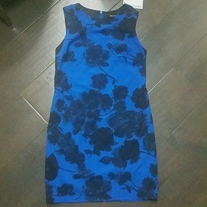 NWT Wells Grace blue watercolor floral dress S